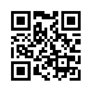 Bidzinator.com QR code