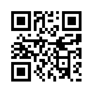 Big-fly.com QR code