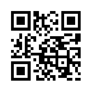 Bigbaer.com QR code