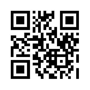 Bigopt.com QR code