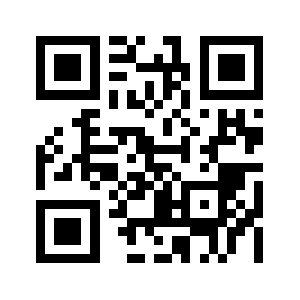 Bigreturn.biz QR code