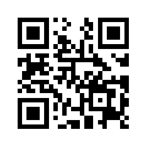 Binarylake.net QR code