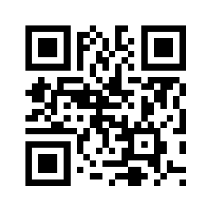 Binarytwine.us QR code