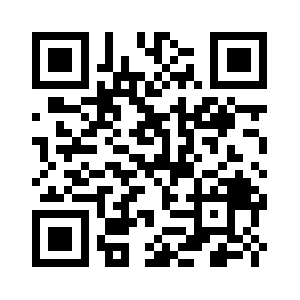 Binaryvillage.com QR code