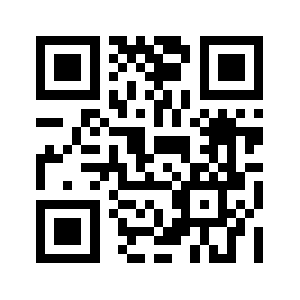 Bindata.org QR code