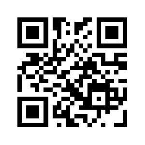 Bintnet.com QR code