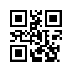 Bintz QR code