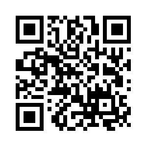 Birgitkugler.com QR code