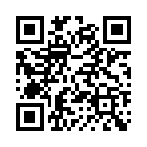 Bisbustours.com QR code