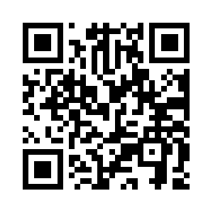 Bisnisdidin.com QR code