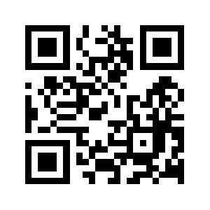 Bitinsure.org QR code