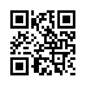 Biz3rl.us QR code