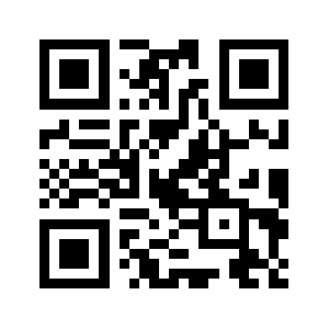 Bizcharter.biz QR code