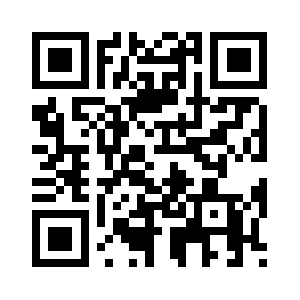 Bizdelsolutions.com QR code