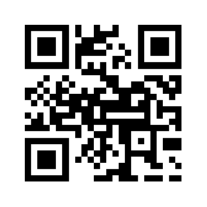 Bizsteward.com QR code