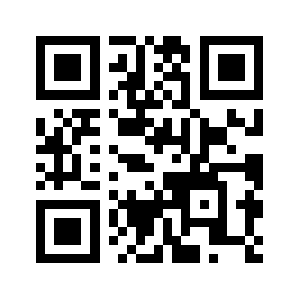 Bizudemais.com QR code