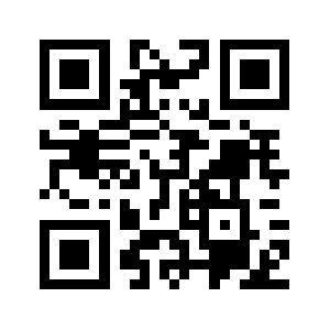 Bizzinity.com QR code