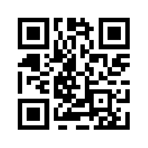 Bkjdsr.biz QR code