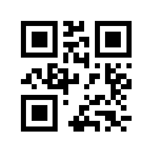 Blg.lt QR code