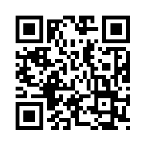 Blockmotorsystem.com QR code