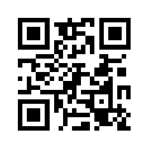 Blockzoom.com QR code