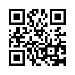 Bloin.biz QR code