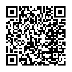 Bluedevilrealestateholdings-noloanneeded.com QR code