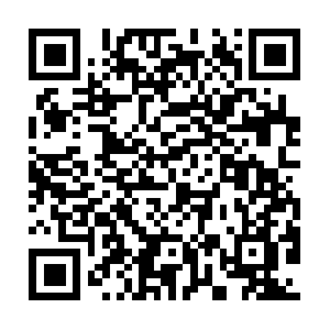 Blueoxbarbecuecompetitiontrailers.com QR code