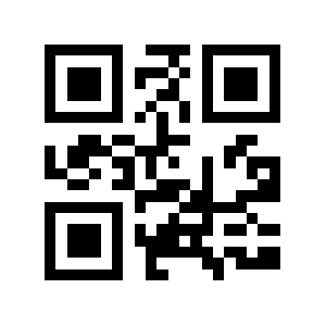 Bmw.in QR code