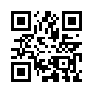 Bng.local QR code