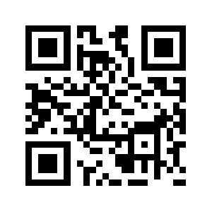 Bnsi.biz QR code