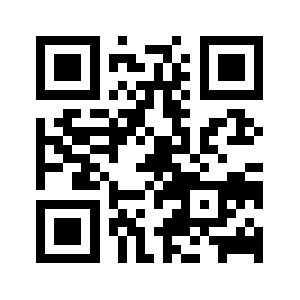 Bnsservices.us QR code