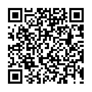 Boardofdirectorresilienceoverview.com QR code