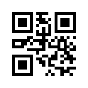 Bodin QR code