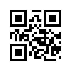 Boretto QR code