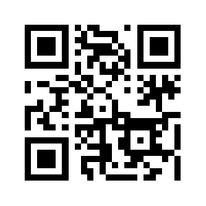 Borgward.biz QR code