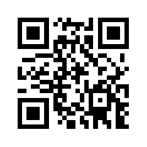 Borndigits.com QR code