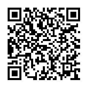 Borrowercreditprofileauthorization.com QR code