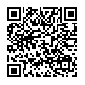 Borselouisvuittonoutlettitalian.net QR code