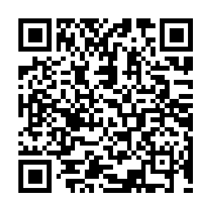 Bostonrecreationalmarijuanatours.com QR code