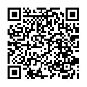 Bostonterrierandchihuahuapuppies.com QR code