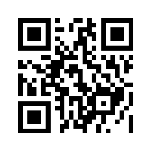 Boxin08.com QR code