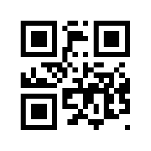 Bp0.biz QR code