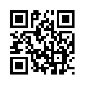 Brainish.info QR code