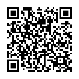 Brand-new-cognitionto-stayup-dated.info QR code