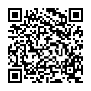 Brand-newknowledge-tostay-updated.info QR code
