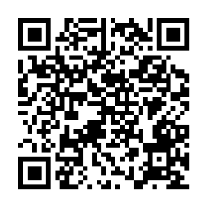 Brazilianjiujitsuacademyofnewjersey.com QR code