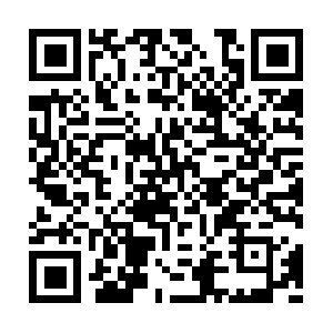 Brazilianreconditioningtreatment.org QR code