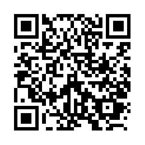 Breachablebarricadesolution.com QR code