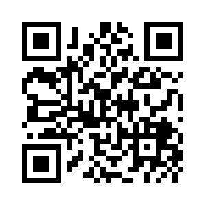 Brendanhollis.com QR code